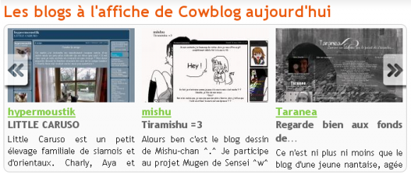 http://mishu.cowblog.fr/images/mishaffiche2.png