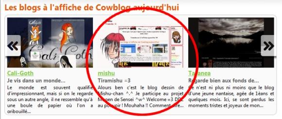 http://mishu.cowblog.fr/images/stats02.jpg